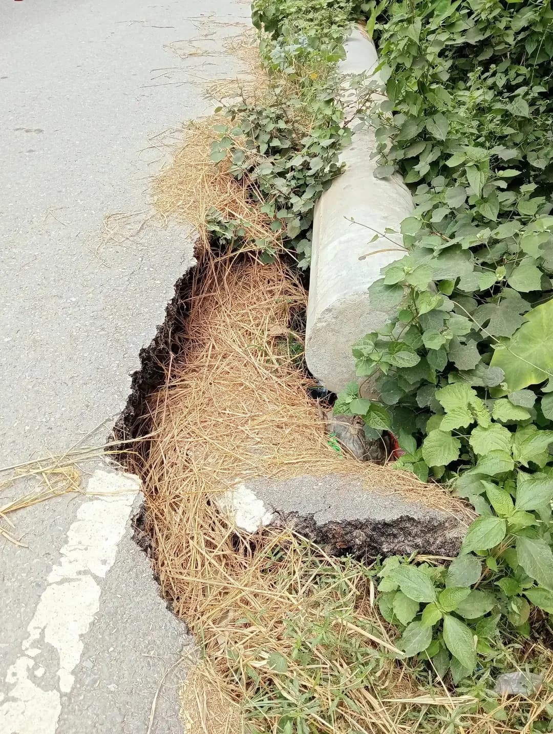 ফুলপুরের আঞ্চলিক মহাসড়কে ভয়াবহ গর্ত, দুর্ঘটনার আশঙ্কায় আতঙ্কে পথচারীরা
