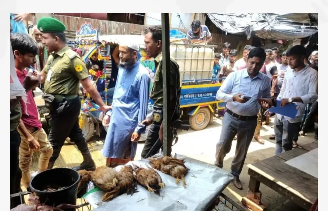 মৃত মুরগী জবাই করে বিক্রির দায়ে জরিমানা ও কারাদণ্ড
