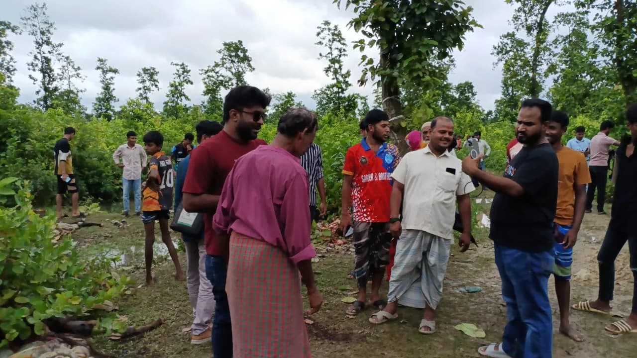 শ্রীপুরে জঙ্গলে ১২ ঘোড়ার মাথা-চামড়া উদ্ধার, মাংস নিয়ে গেছে দুর্বৃত্তরা